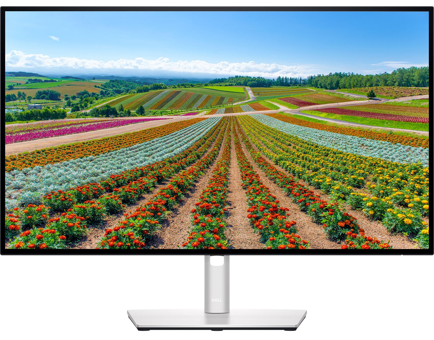 Monitor Dell UltraSharp U2722D IPS 27 QHD 16:9 60Hz 1